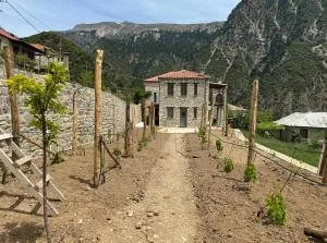 Χελιδόνα - Lástovon