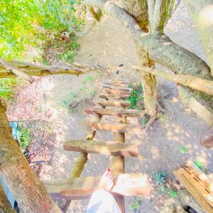 Habarana Tree House Area