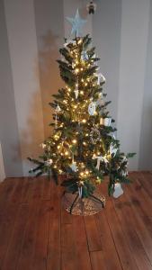 Maisons de vacances Gite charmant a la campagne : photos des chambres