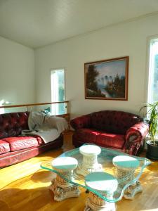 3 room apartment&terrace