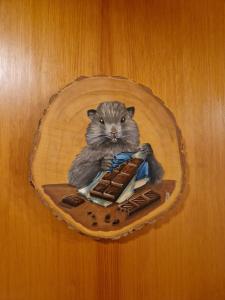 Chalet Sterenn, 10 personnes, Grand Bornand et La Clusaz