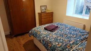 Mount Leinster Cottage