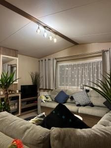 Woodland Retreat Entire Holiday Home in Hastings