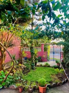 familly surf housse - 塔马里斯