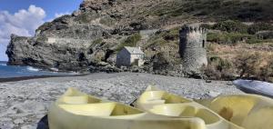 Maisons de vacances Cap Corse - Maison a 500m de la plage - Logement entier : photos des chambres