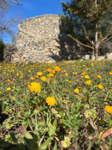 Crumisi - turismo rurale salento