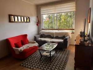 2d2b Salvador - Puerto Varas