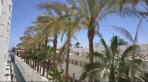 Scandic resort private beach