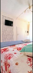 La casa di Pi Ta img20