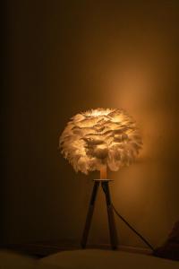 Nakuru Cozy Suite G1- Alset