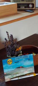 Hollófészek Vendégház