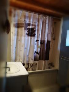 Appartements GITE O FIL DU BOIS avec spa et piscine a Longchaumois - du samedi au samedi : photos des chambres