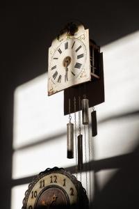 Schwarzer Adler - Concept Living