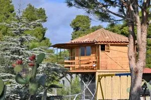 Wooden Nest - Granitseïka