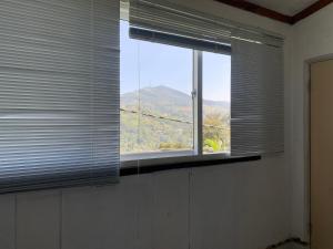 Amigos one bed room jungle view apartment