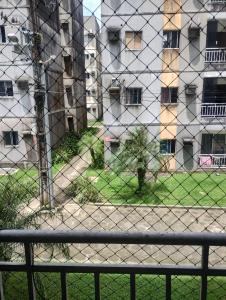 Neo colori para a COP 30