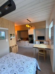Appartements Charmant studio quartier salins 5mn gare routiere : photos des chambres