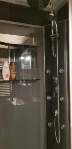 DIJON Super appartement F1 bis climatisé mezzanine