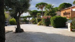 Appartements ARGELES sur MER APPT RDC CADAQUES TOUT CONFORT JARDIN PISCINE PARKING WIFI : photos des chambres