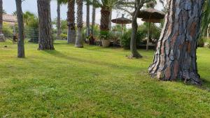 Appartements ARGELES sur MER APPT RDC CADAQUES TOUT CONFORT JARDIN PISCINE PARKING WIFI : photos des chambres