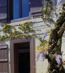 Maisons de vacances Les Eglantiers : photos des chambres