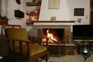 Babis Garden Salamina