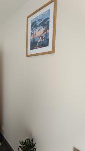 Appartement Lumineux hypercentre - Biscarrosse