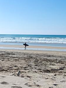 Appartement Lumineux hypercentre - Biscarrosse