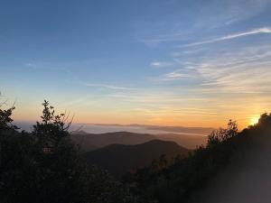 B&B / Chambres d'hotes Atelier des reves : photos des chambres