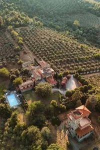 Tenuta Lupinari - Solata