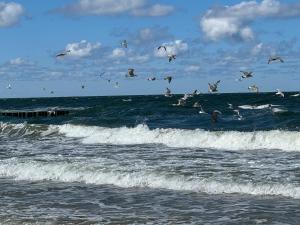 APARTAMENT Słoneczna 28 - POGORZELICA