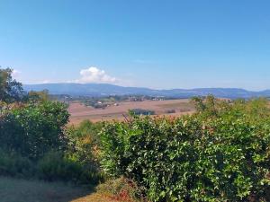 La casa di Cleo
