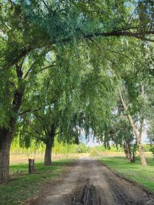 Naturaleza & confort en Tunuyan, Mendoza