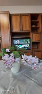 Summer Kardos Apartman