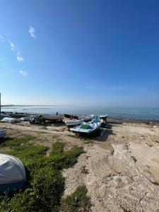 Le conchiglie relax in spiaggia
