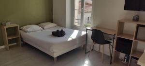 Appartements APPARTEMENT CANNES MONTFLEURY : photos des chambres