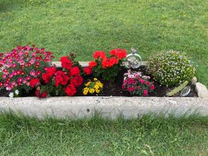 B&B / Chambres d'hotes Le Jardin de LaCoste : photos des chambres