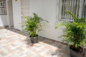 Apartamento Completo con Ante Jardin