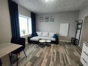 722 Slate Apartament Jedlina-Zdrój - 希隆斯克地区扎古热