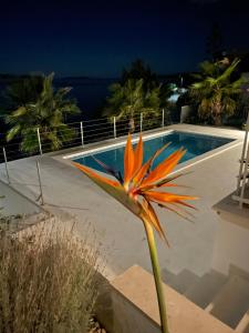 Apartament Villa Leonardo