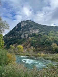 Appartements Appartement 1 chambre avec piscine : photos des chambres