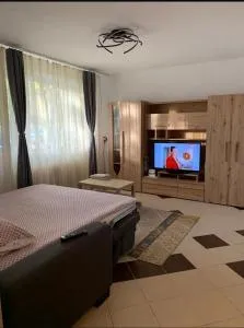 Brâncoveanu's Cozy Corner - Apărătorii Patriei