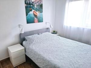 Apartmani Vlasina Sokobanja
