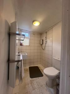 Large St Albans Garden House