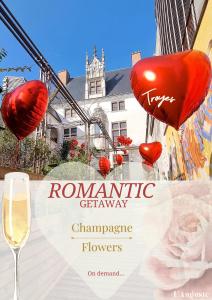 Superbe appartement au coeur de Troyes