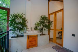 Dillenia Inn-Unawatuna