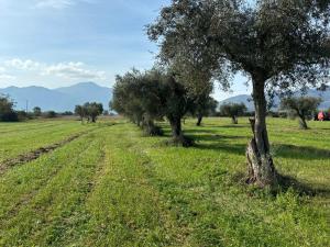 Casa Vacanze Cimorelli