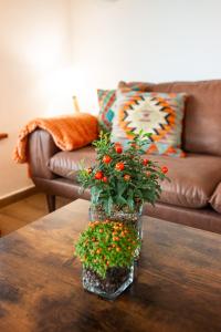 Apartamentos Montes Vindios