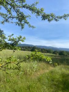 Maison au pied du Luberon