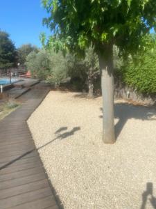 Maisons de vacances Maison au pied du Luberon : photos des chambres